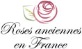 Roses Anciennes en France