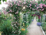 Jardins de la roseraie Andr� Eve