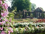 Roseraie de l'Ha�-les-Roses