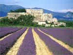 Grignan et son ch�teau